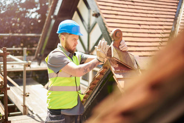 Best Roof Maintenance Services  in Belle Chasse, LA